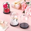 DIY Transparent Plastic Bell Jar Dome Ball Screw-On Lid Preserved Flower Display Ideal Valentine's Day  Holiday Craft Decoration