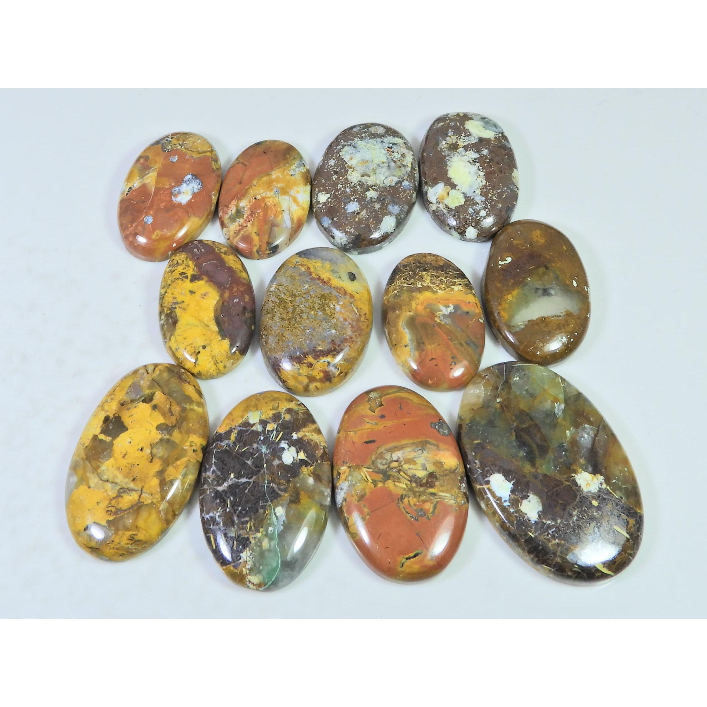 301Cts. Natural Forest Agate Oval Cabochon Loose Gemstone 12 Pcs Lot C-1955