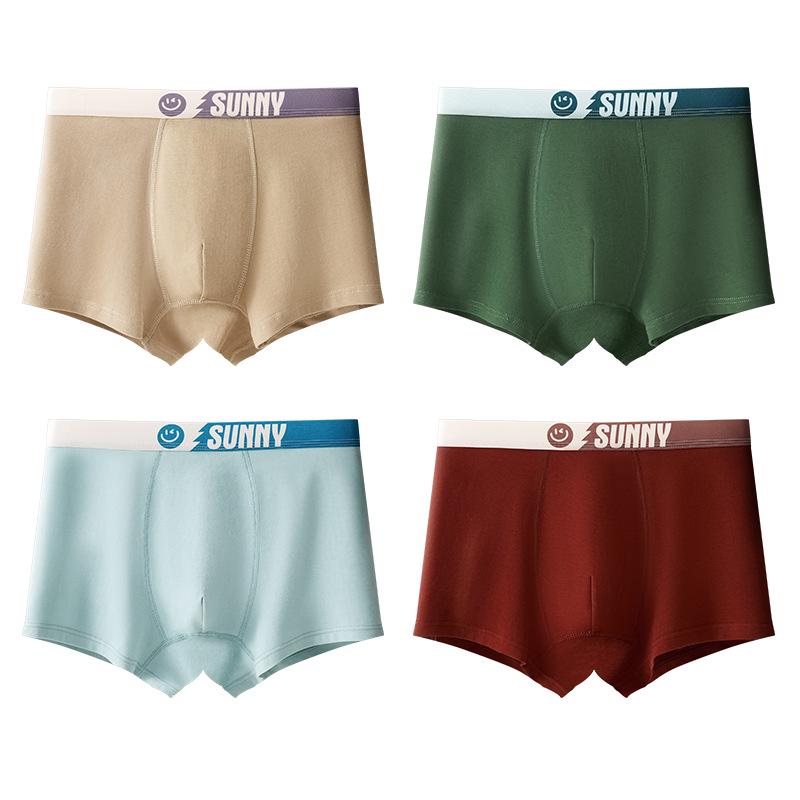 Men's Plus Size 100% Cotton Antibacterial Boxer Briefs