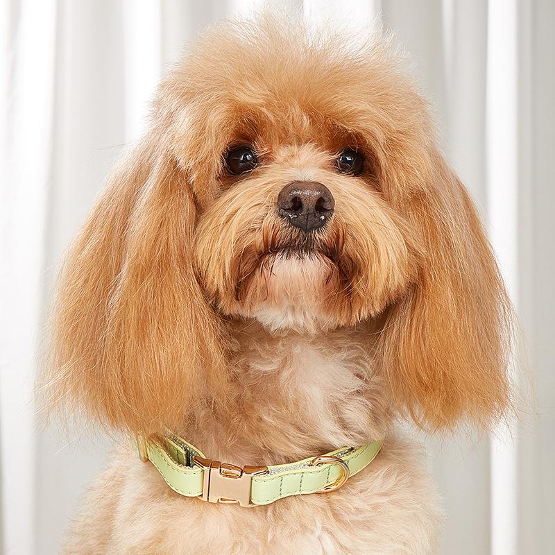 

Ошейник для собак, ошейник для кошек в стиле ретро конфетного цвета, ошейник для маленьких и средних собак, ошейник для домашних собак S: