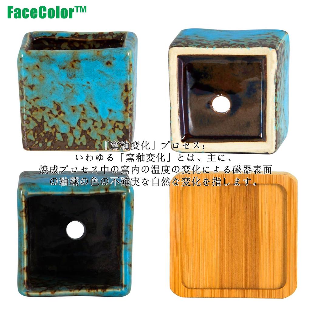 Facecolor Sukkulent Størrelse Stilig Keramisk Glasert Sett med Egnet for Innendørs og Utendørs Små Firkantet Drenering og Bunnnett Ikke Potter, 2,