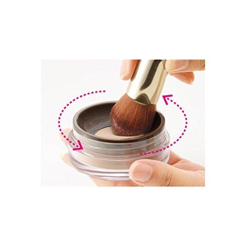 ONLY MINERALS Premium Foundation (7g)