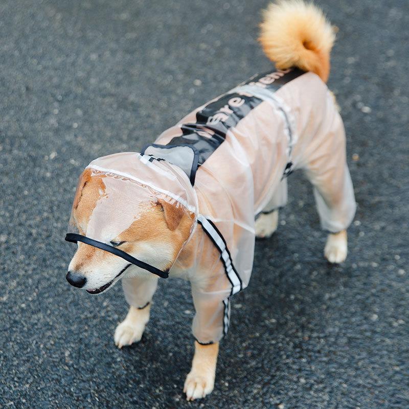 Bichon Frise Dog Raincoat: Full-Coverage, Waterproof, Four-Legged with Tail-Connected Design for Medium and Small Dogs