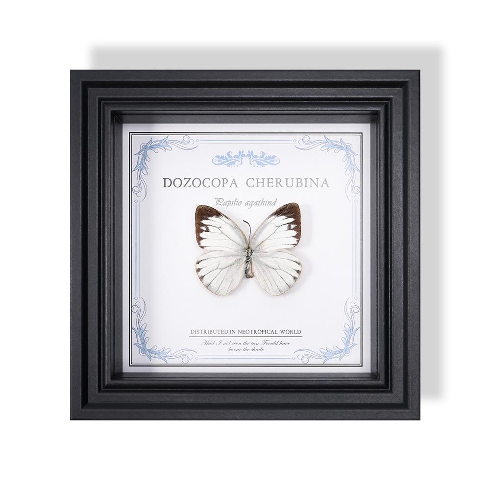 Wall-Mounted Butterfly Specimen Photo Frame: Home Decor & Gift for Valentine's Day, Qixi, Birthday, Couples & Insect Lovers