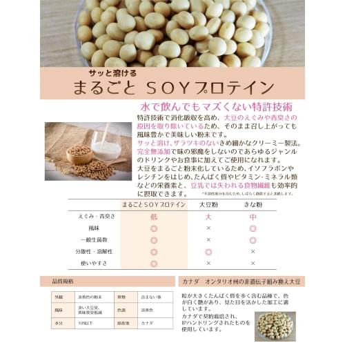 JAY&CO. Whole Soy Protein, Quickly Dissolves in Water, Reduced Grainy Flavor, Completely Additive-Free (500g, Unflavored)