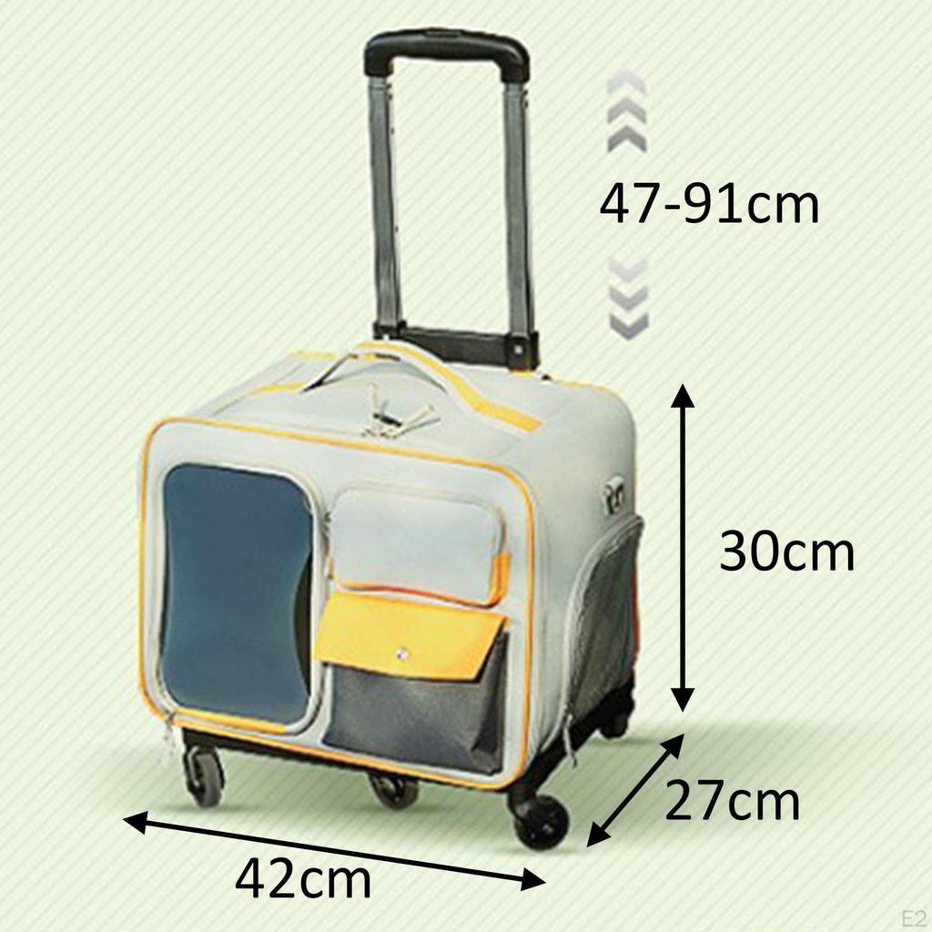 Katzenreisetragetasche Transport Tragbar mit Rad für Kleine Hunde Katzen