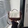 Niche Retro Lamb Wool Small Square Bag Women's New Highend Fashion Versatile Shoulder Messenger Bag