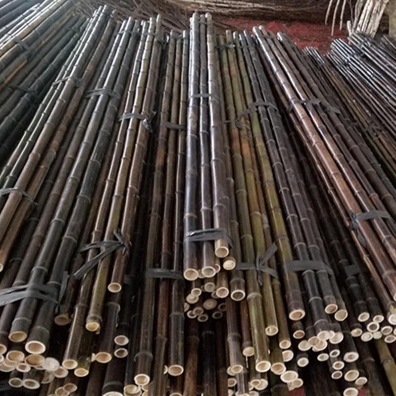 Purple, White, and Light Bamboo Poles for Indoor/Outdoor Decor - Insect-Proof & Anti-Corrosion, Perfect for Flags and Dance Props