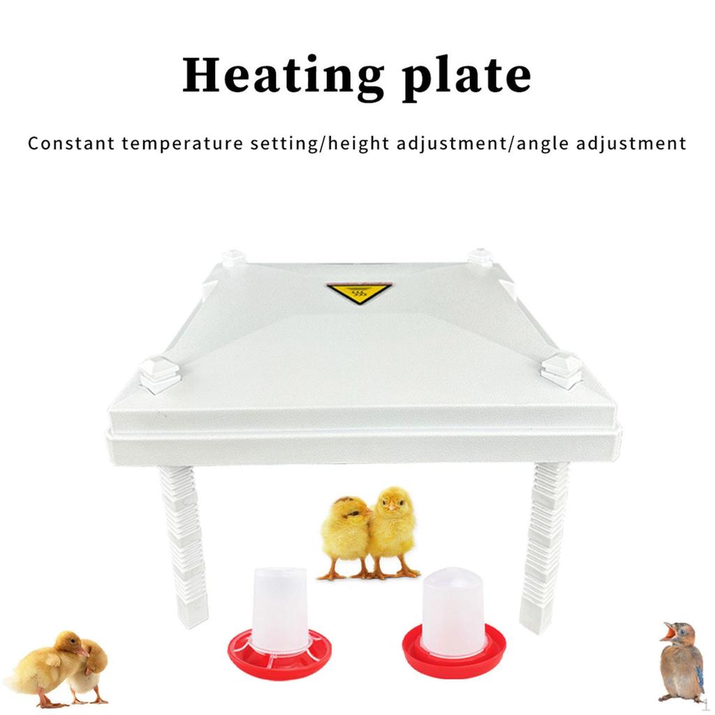 Brooder Heating Plate Electric Warmer Easy Installation Heat for Ducks