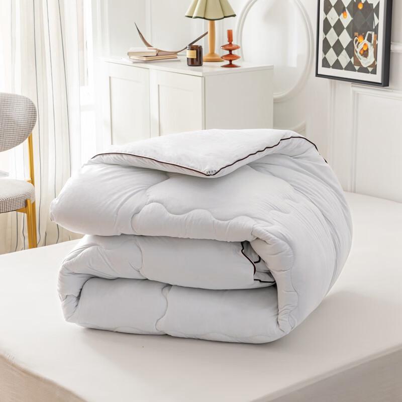 Caiyang All-Season Velvet Duvet