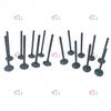 1007012XED95 1007011XED95 16Pcs car Intake Valve and Exhaust Valves Set Fit For GREAT WALL GWM POER Wingle 7 GW4D20M Diesel