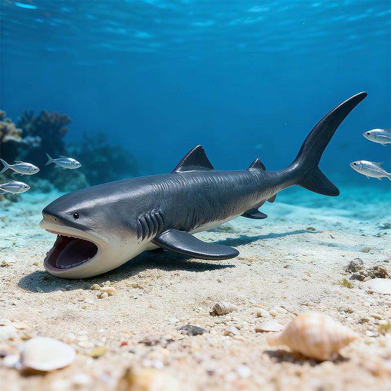 Children's Marine Animal Cognitive Model: Shark, Megalodon, Tiger Shark - Desktop Toy Ornament