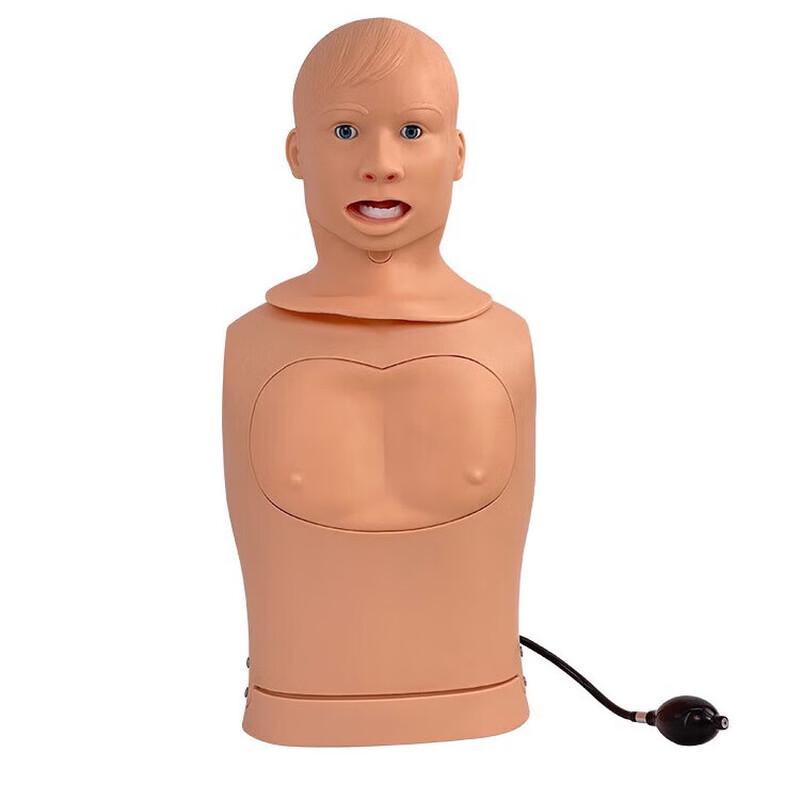 Advanced Nasogastric Tube and Tracheal Care Training Model