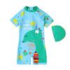2025 Boys' Cartoon Quick-Dry Short Sleeve One-Piece Swimsuit for Toddlers