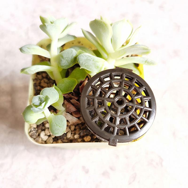 Fertilizer Box Bonsai Fertilizer Basket with Lid Bonsai Bonsai Bonsai Potted Fertilizer with Lid