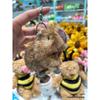 Jellycat-Inspired Plush Toy: Three-Label Lop-Eared Rabbit & Bear Cake Doll - Perfect Birthday Gift for Girls