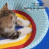 Durable Starry Sky Cat Bed & Scratching Board: Large Oval All-Season Toy