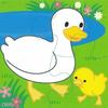 Kumon Jigsaw Puzzle STEP1 Favorite Animals JP-11