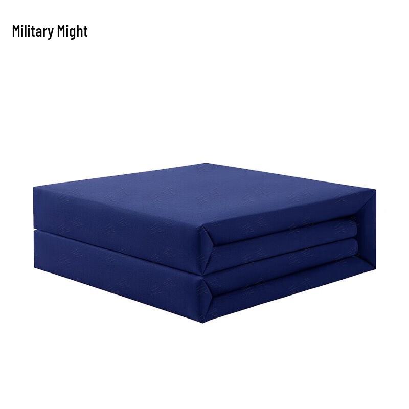 Bingwei Tofu Block Dormitory Cotton Quilt