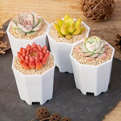 2/4/610 Pieces of White Octagonal Flower Pots Are Very Suitable for Succulent Cacti and Indoor and Outdoor Plant Growth
