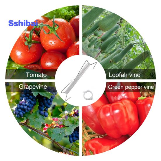 Lot De 300 Clips De Support Pour Plantes, Plantes De Jardin