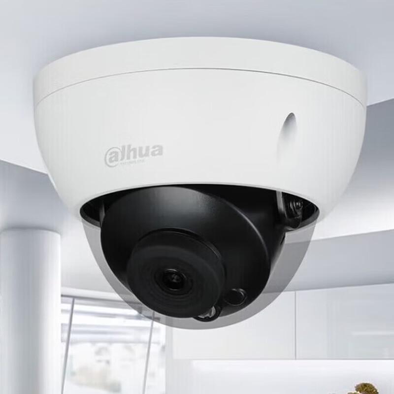 Dahua 2MP PoE Explosion-Proof Dome Camera with Smart AI CN plug (adapter included)
