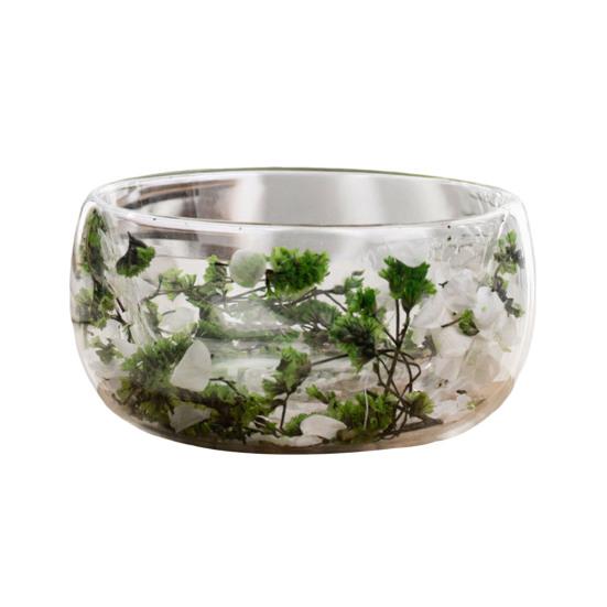 Bol de Sticlă 300ml cu Perete Dublu din Sticlă Borosilicată cu Flori Uscate Bol Decorativ Artistic pentru Supă Desert