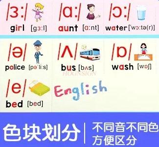 The Latest Version Of 48 English International Phonetic Alphabet Audio Wall Charts For Elementary School Students' Word Learning
