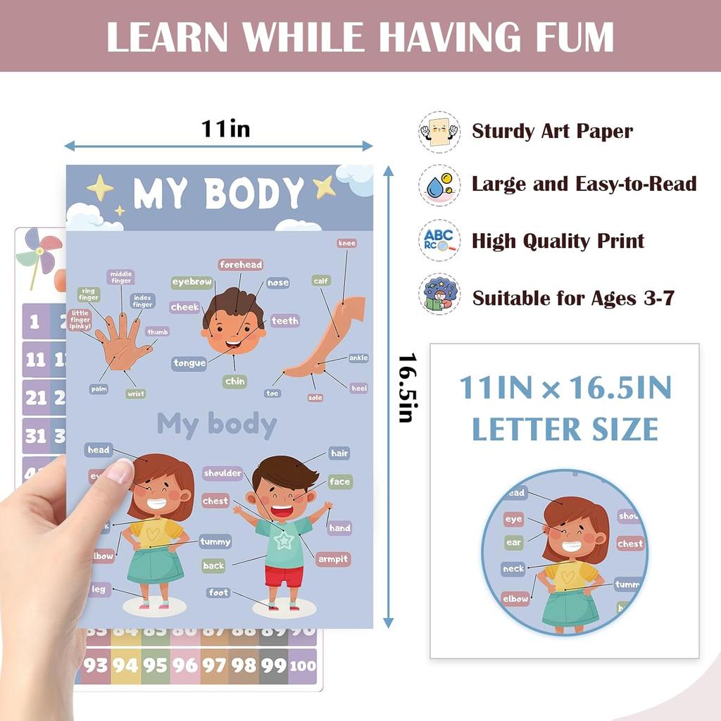16 Educational Posters for Preschoolers, Laminated PreK Learning Poster Charts for Toddlers 1-3, Learning Wall Charts for Kids’ Bedroom, Playroom,