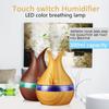 USB Air Purifier Aroma Humidifier, 300ml Capacity