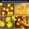 Serial String Lights - 14 LED Optic Fibre Flower, 10 Feet Warm White Fairy Lights for Home,Mandir,Pooja Room,Deepawali & Diwali Decoration,Christmas