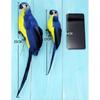 25/35cm Fuuny New Simulation Parrot Bird Garden Props Decor Mini Feather Lawn Ornaments