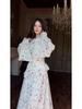 Elegant Spring Floral Long Sleeve Dress (2025)