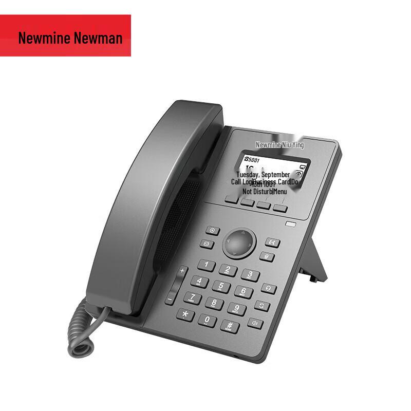 Newsmy HL2008TSD-748 IP SIP Phone (CN Version)