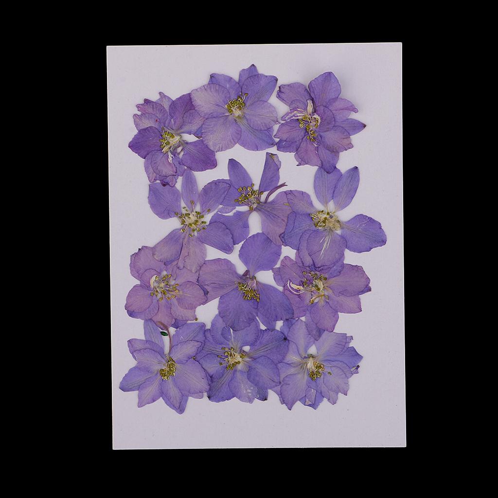 Pressed Dried Flowers Natural Dried Flowers for Candle and Soap Making Mini Dried Flower Bouquet for DIY Decorations