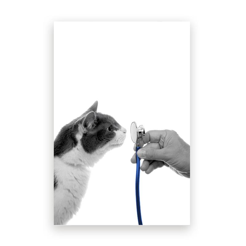 Pet Care Art Prints Black White Photography Posters Cat Dog Canvas Painting Animal Clinic Wall Pictures Veterinary Office Decor