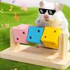 Hamster Fitness Cube Colorful Multi Faceted Activity Stress Relieving And Anti Depressant Toys For Hamster Sports