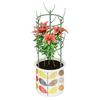 Garden Plant Support Stake for Plant Climbing Plant Support Structure Plant Holder Stick for Support Tall Potted Plant