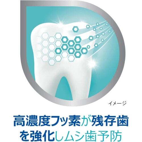 Dental Labo Medicated Toothpaste for Periodontal Disease (Gingivitis and Pyorrhea), 100g x 2-Pack