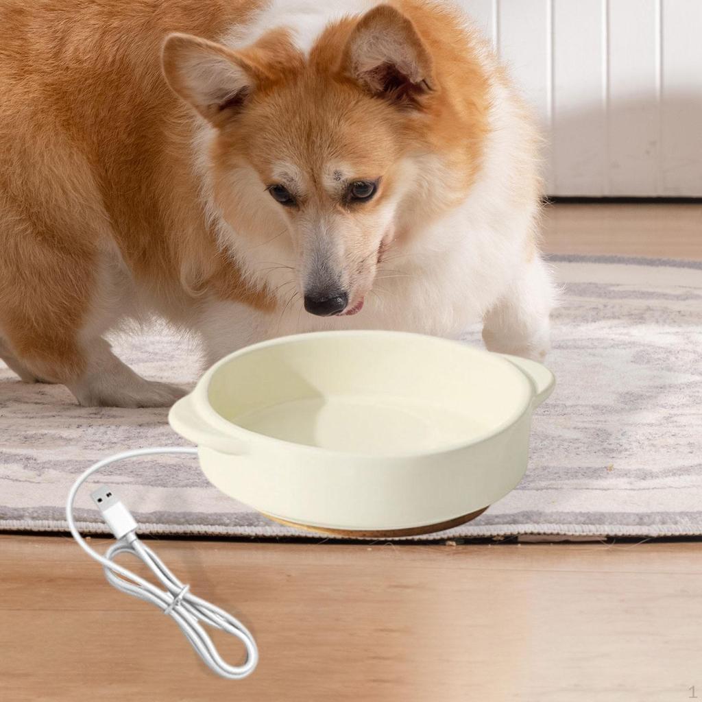 Pet Heated Bowl Ceramic Waterer Elevated Cat Dog Feeding for Winter
