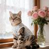 Breathable Fabric Pet Sterilization Suit Soft Material Cat Protective Vest  Spaying