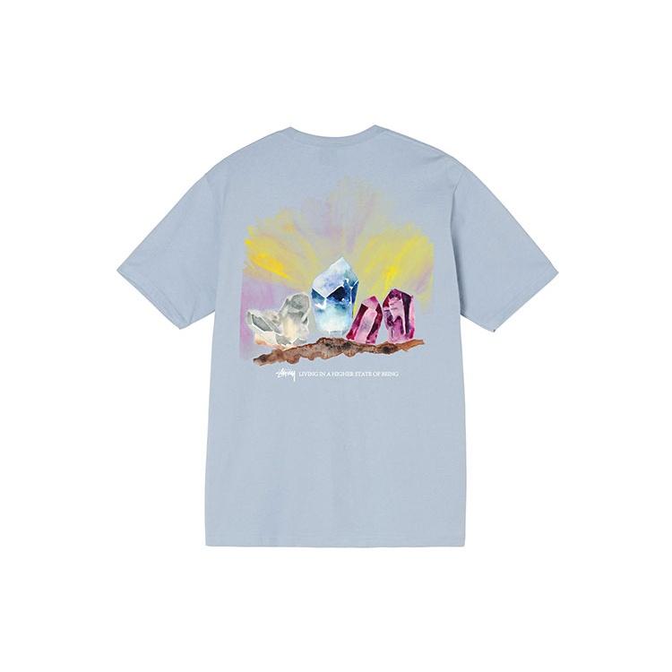 Stussy Higher State Tee Unisex 1904709