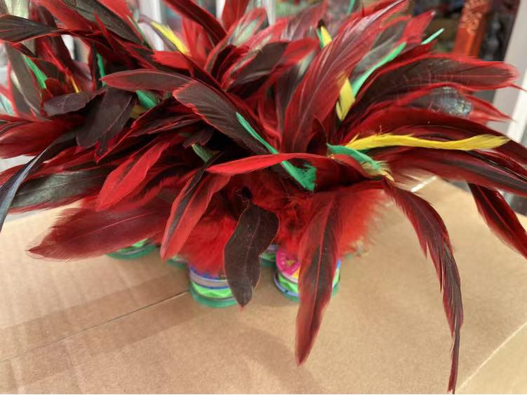 Jianzi Coloré à Plumes pour Étudiants - Grand, Plume d'Oie