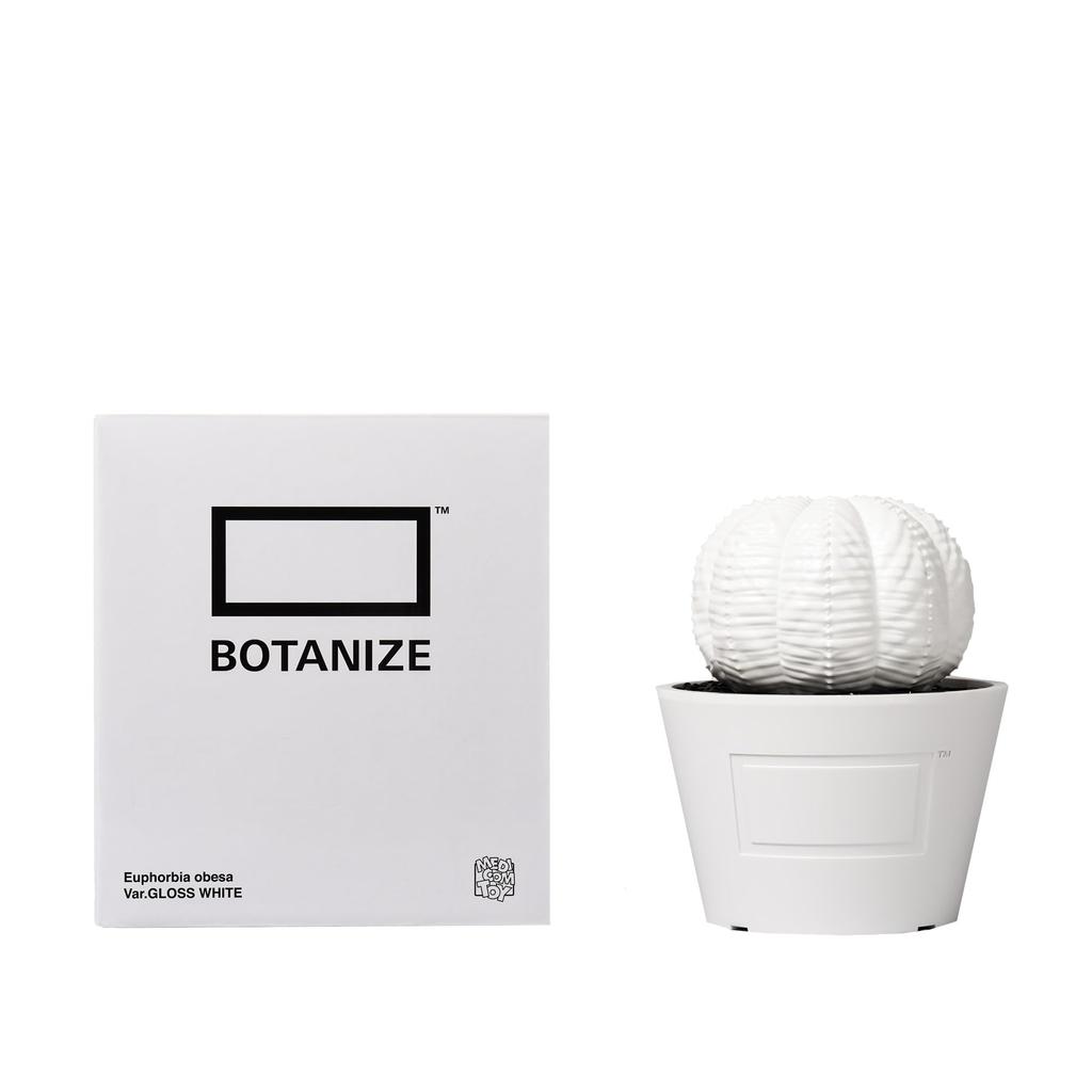 MEDICOM TOY BOTANIZE VCD Euphorbia obesa gloss WHITE Medicom Toy BOTANIZE collaboration Euphorbia obesa figure [Limited Sale] × var. & (white)