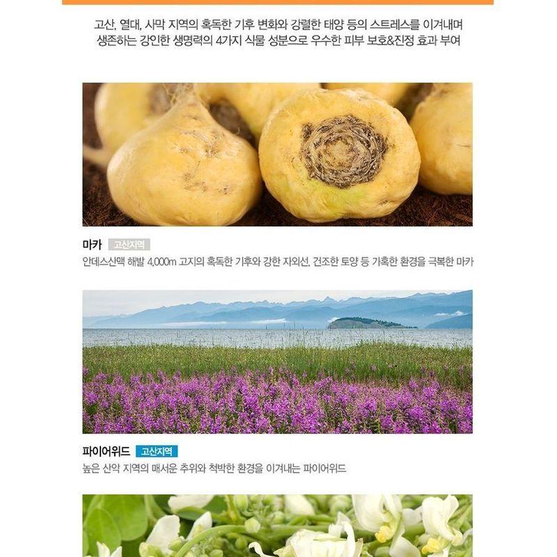 The Saem - Eco Earth Face & Body Waterproof Sun Cream