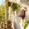 Vase Wall Mounted Planter Home Ornaments Flower Pot Wall Shelf Planter Holder  Home