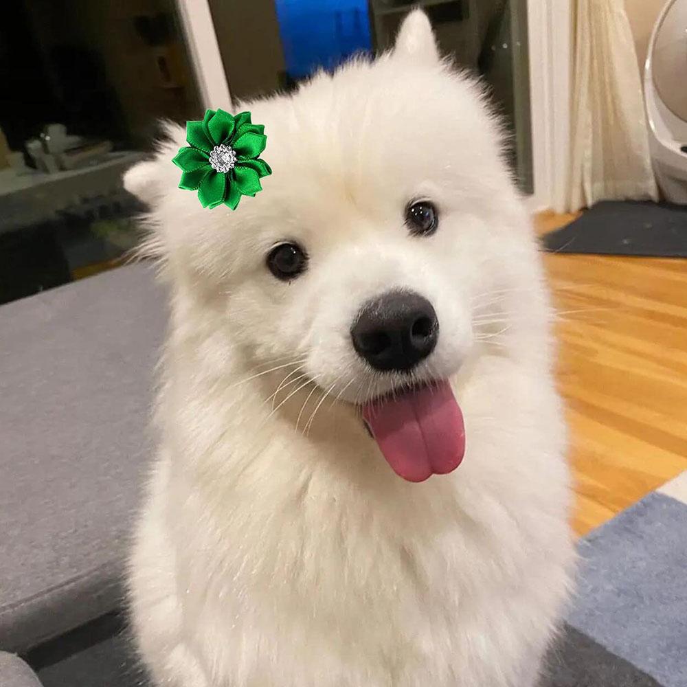 50/100pcs/lot Pet Dog Hair Bows Rubber Bands Petal Flowers Bows with Pearls Pet Dog Grooming Bows Dog Hair Accessories Product