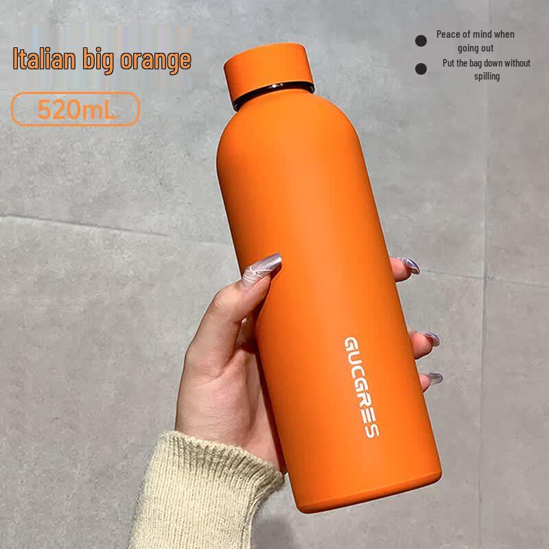 Qiwei Cute Insulated Stainless Steel Straw Bottle