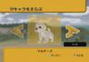 Hund und Zauberhut Wii -