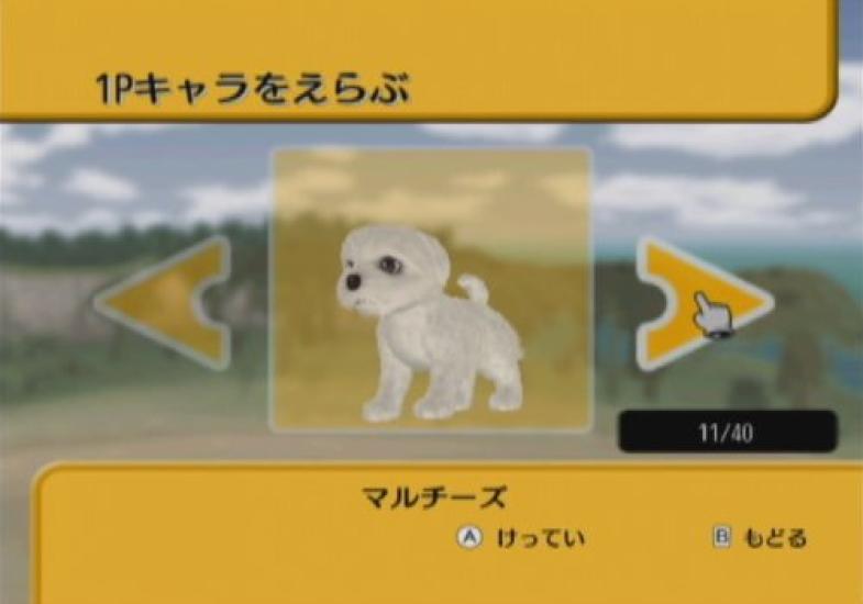 Hund und Zauberhut Wii -